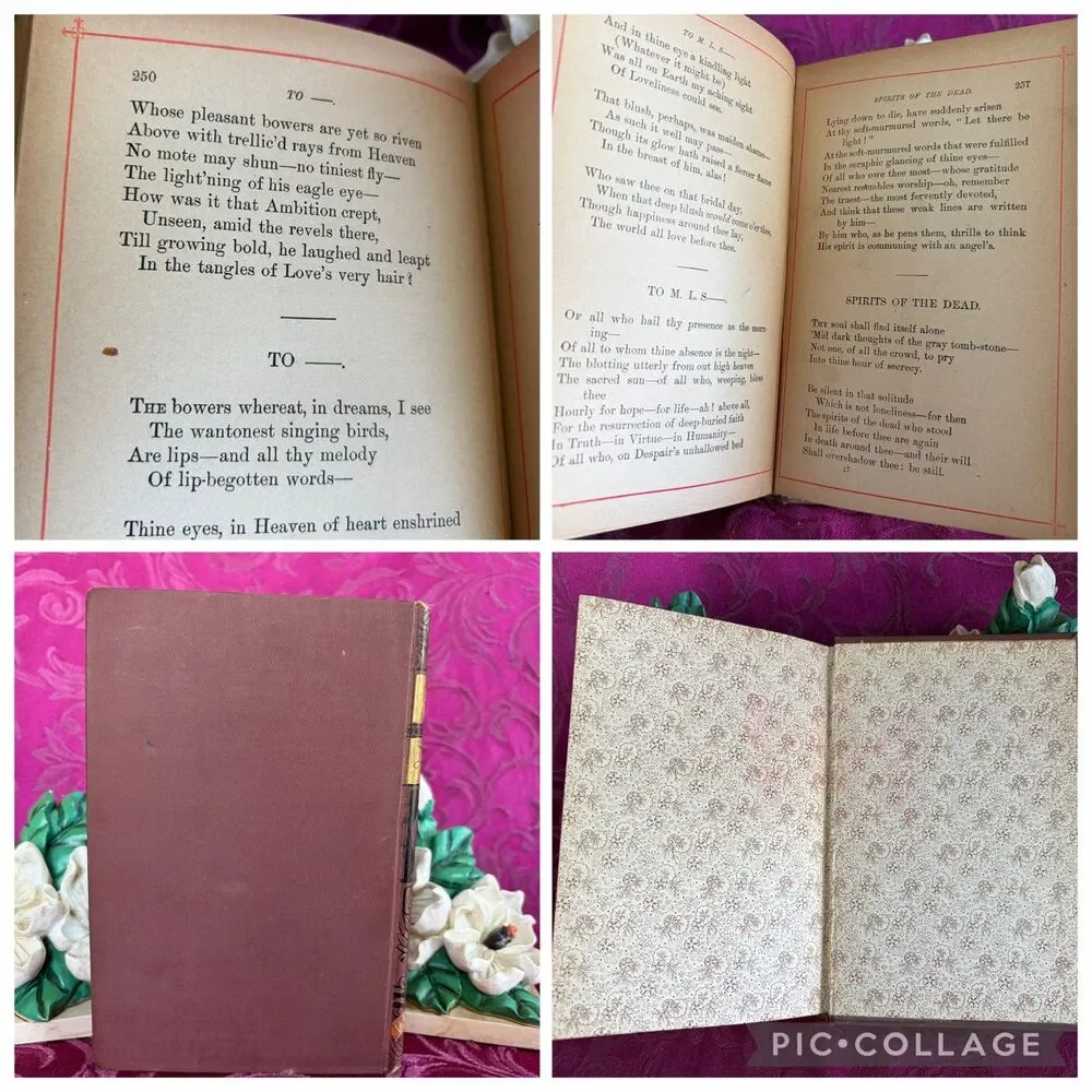 1887 The Complete Poetical Works of Edgar Allan Poe, Antique Book